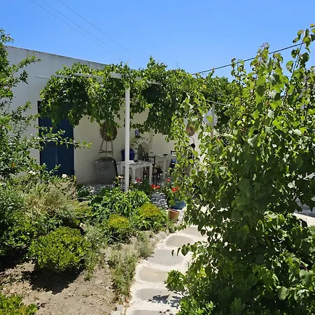 Apartment Politimi N8